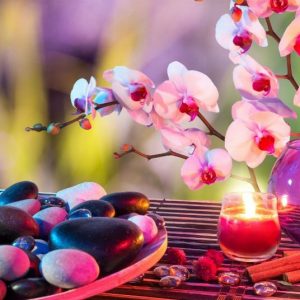 Curso Asesor profesional Feng shui- 1 pago