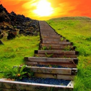 Curso asesor profesional Feng shui- 2 pagos