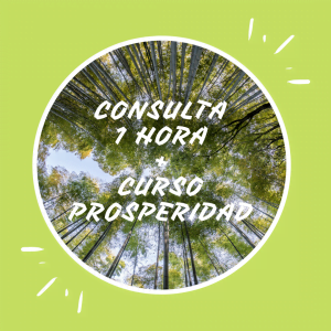 Curso Activar la energía de la Prosperidad + Consulta de 1 hora - Espacio Premium