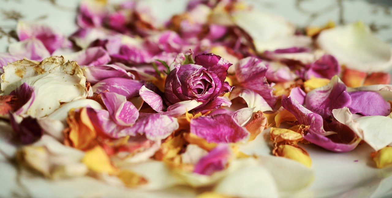 rose petals, roses, fragrance-2446716.jpg