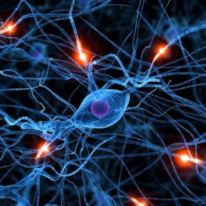 Consulta sanación cuántica + Reiki Kundalini